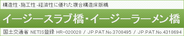 構造性・施工性・経済性に優れた複合構造床版橋